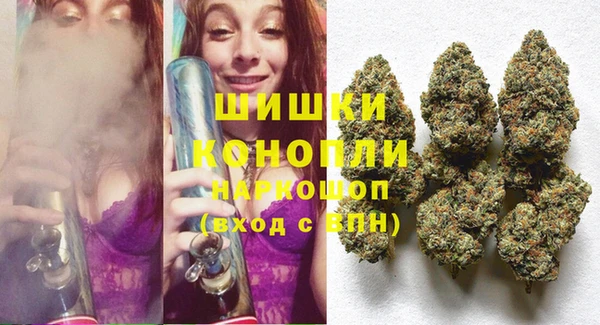 спайс Гусев