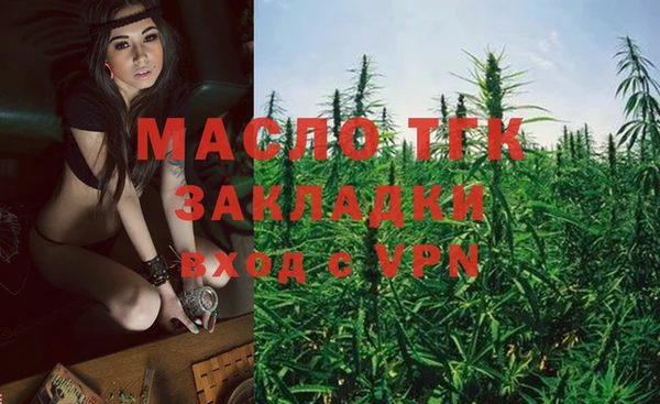 спайс Гусев