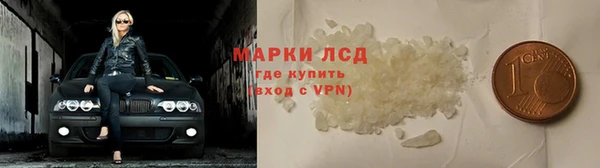 спайс Гусев